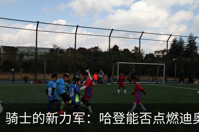 骑士的新力军：哈登能否点燃迪奥普的潜力？
